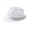 Sapca Trilby